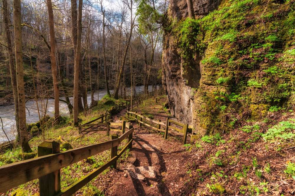 The path leading down to a creek bordering brook park oh 