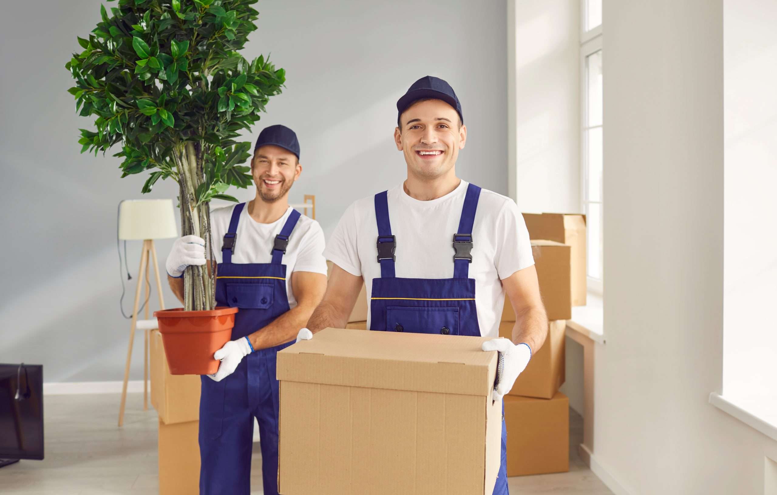 Smiling Seville movers carrying boxes and plants 