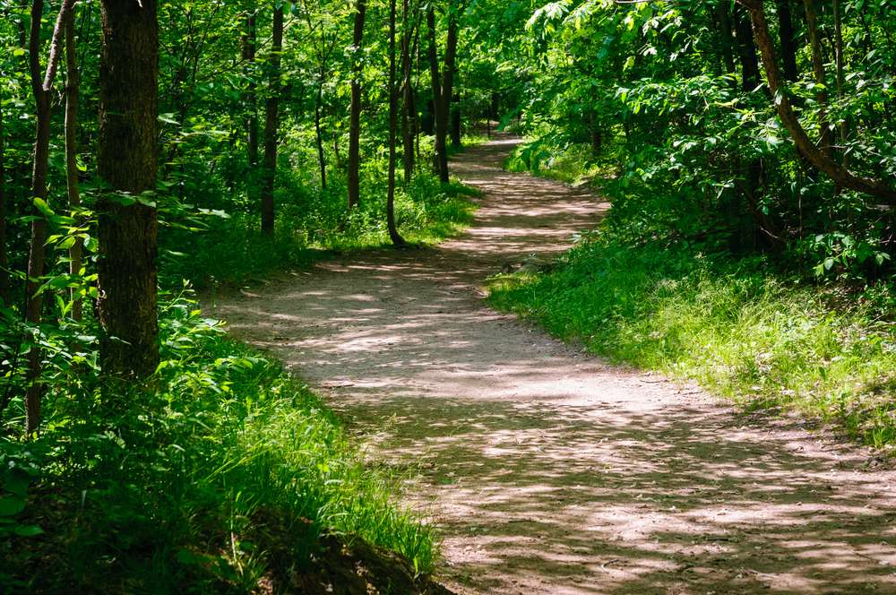 A sunlit path through a state park near valley view ohio